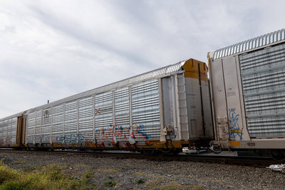 TTGX 708703
