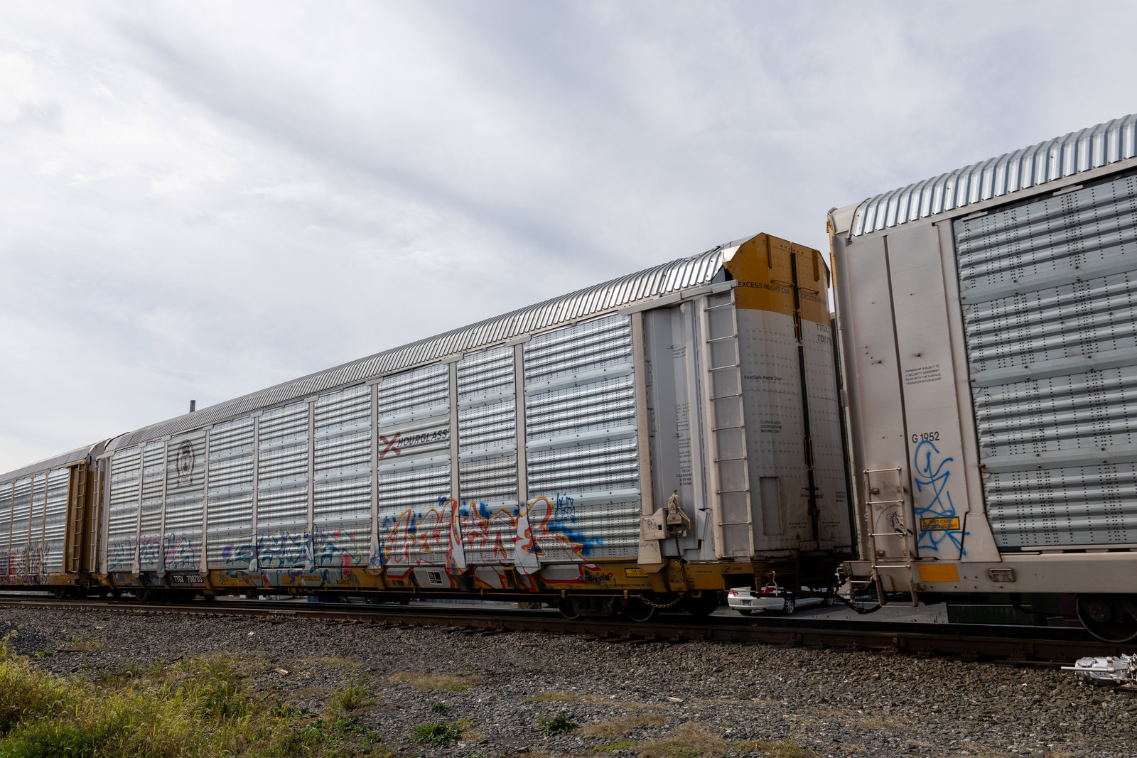 TTGX 708703