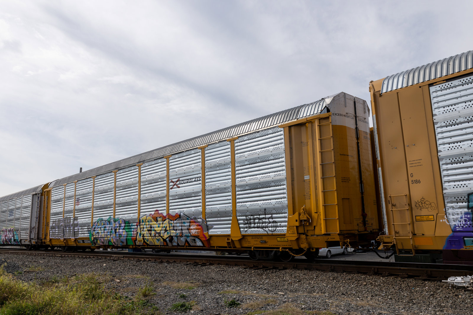 TTGX 835164