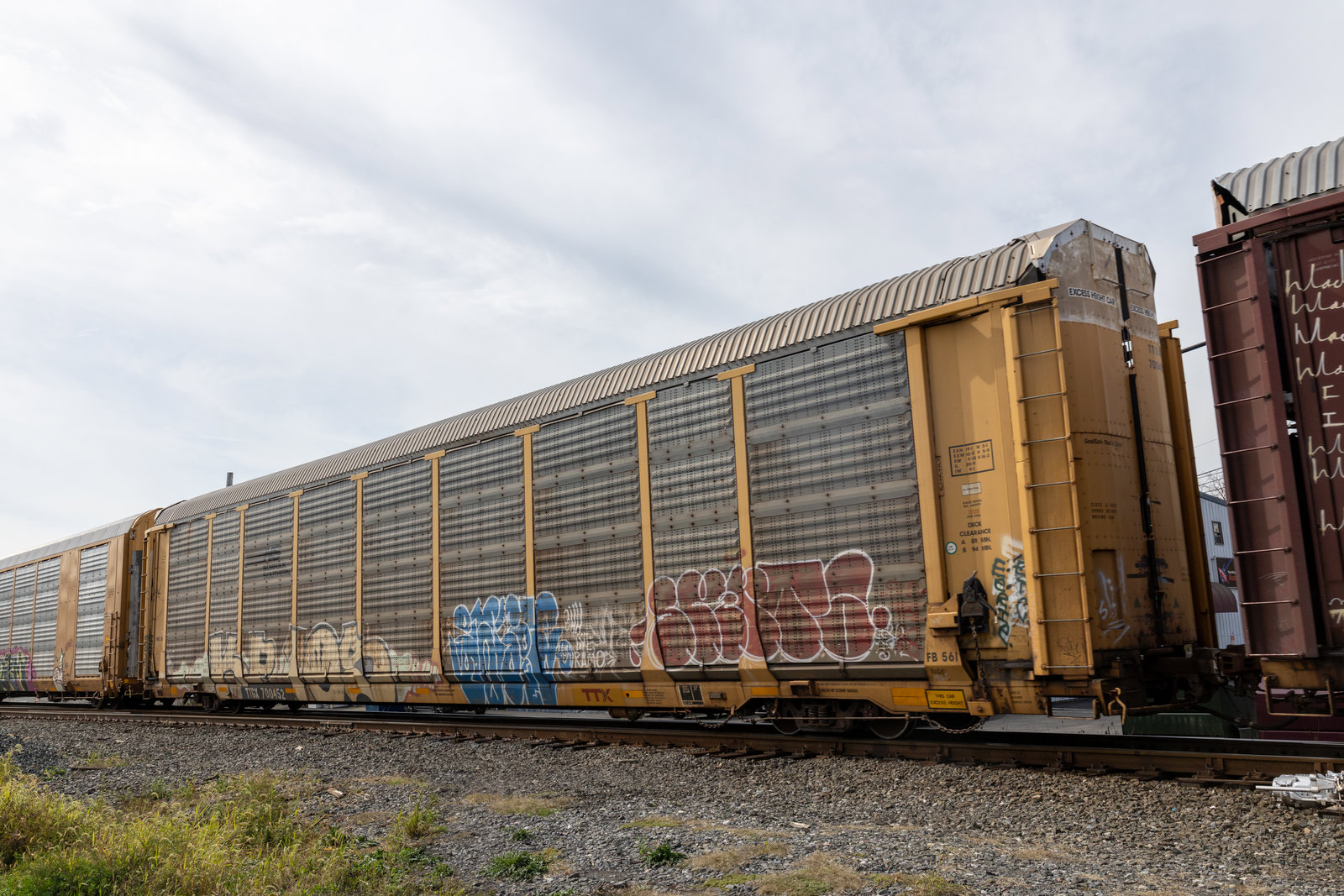 TTGX 700452