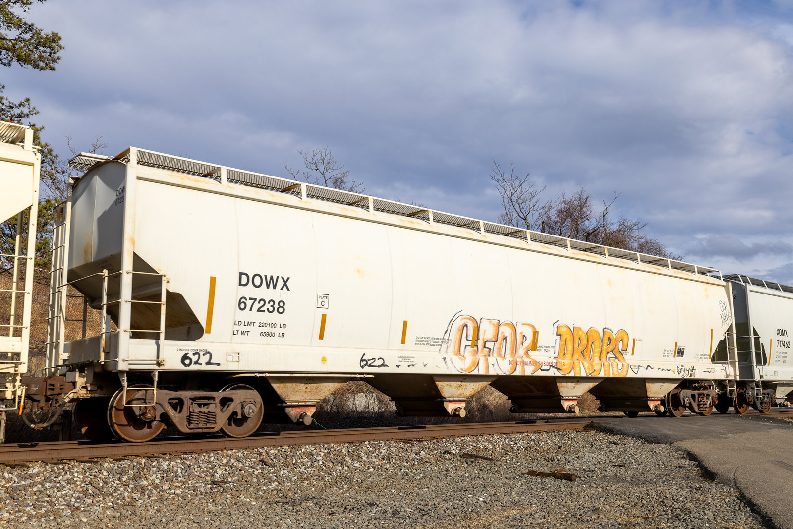 DOWX 67238