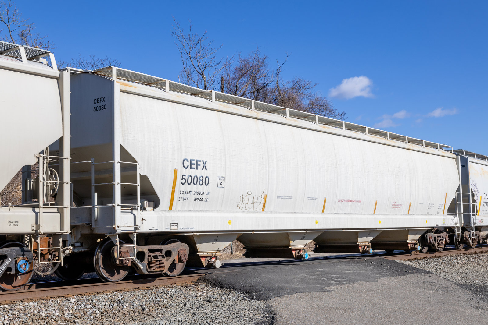 CEFX 50080