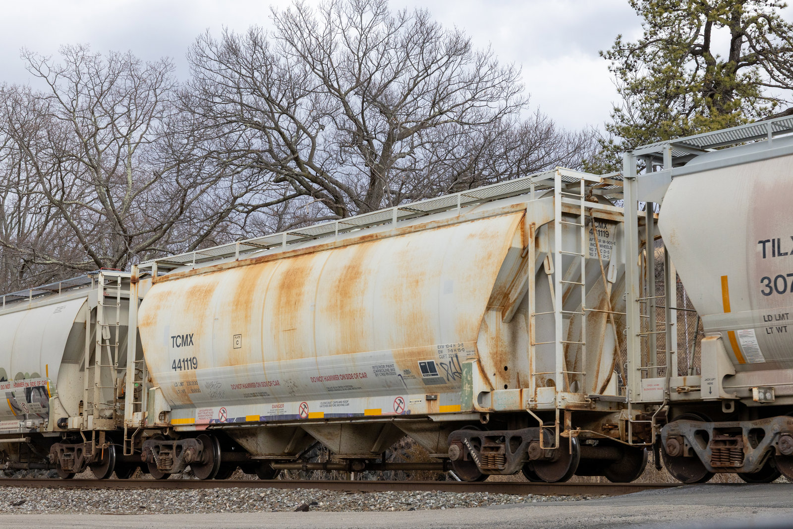 TCMX 441119