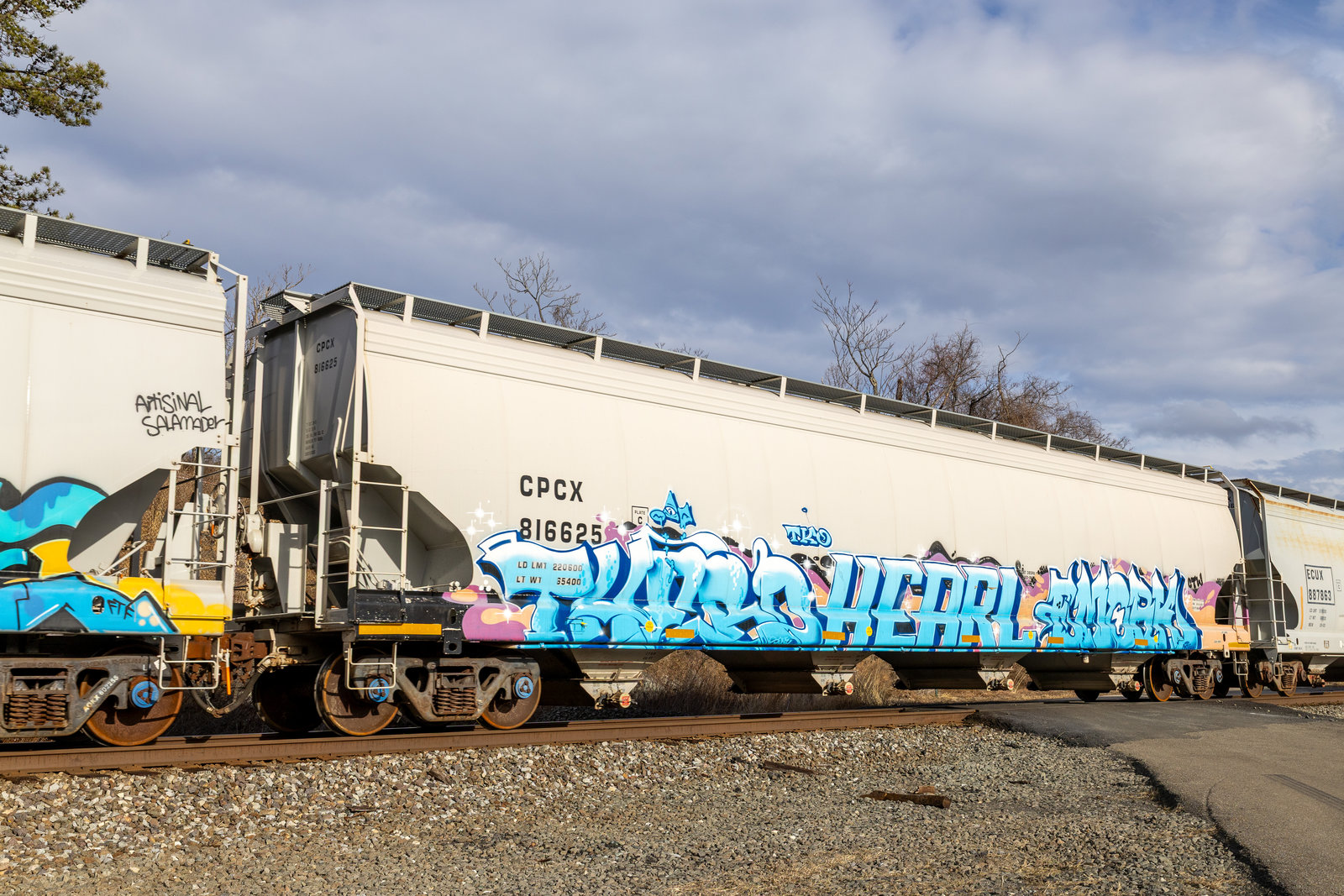 CPCX 816625