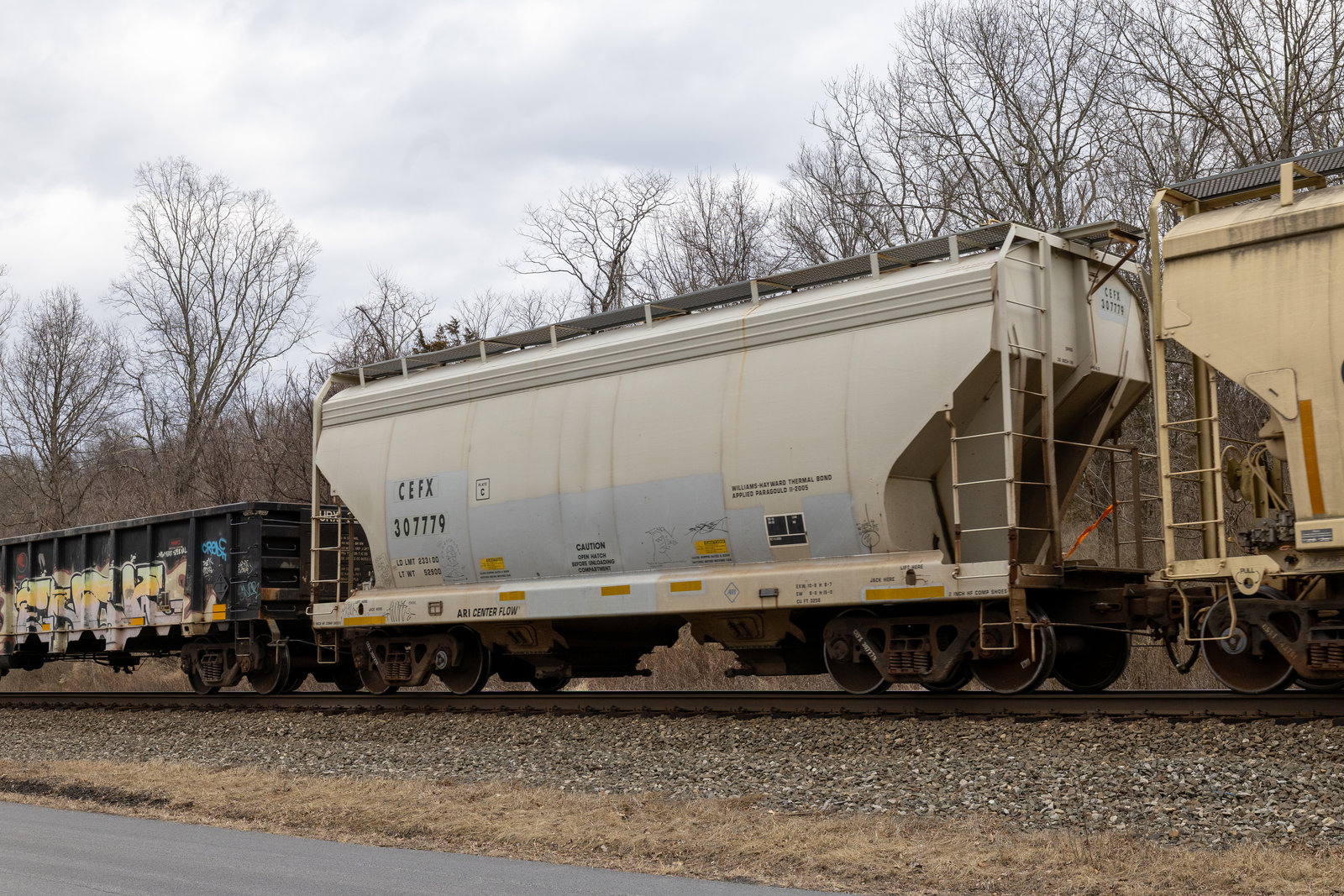 CEFX 307779
