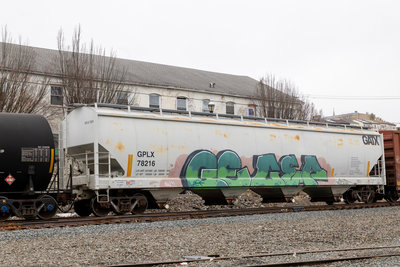 GPLX 78216