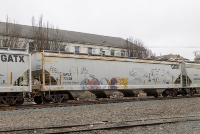 GPLX 77448