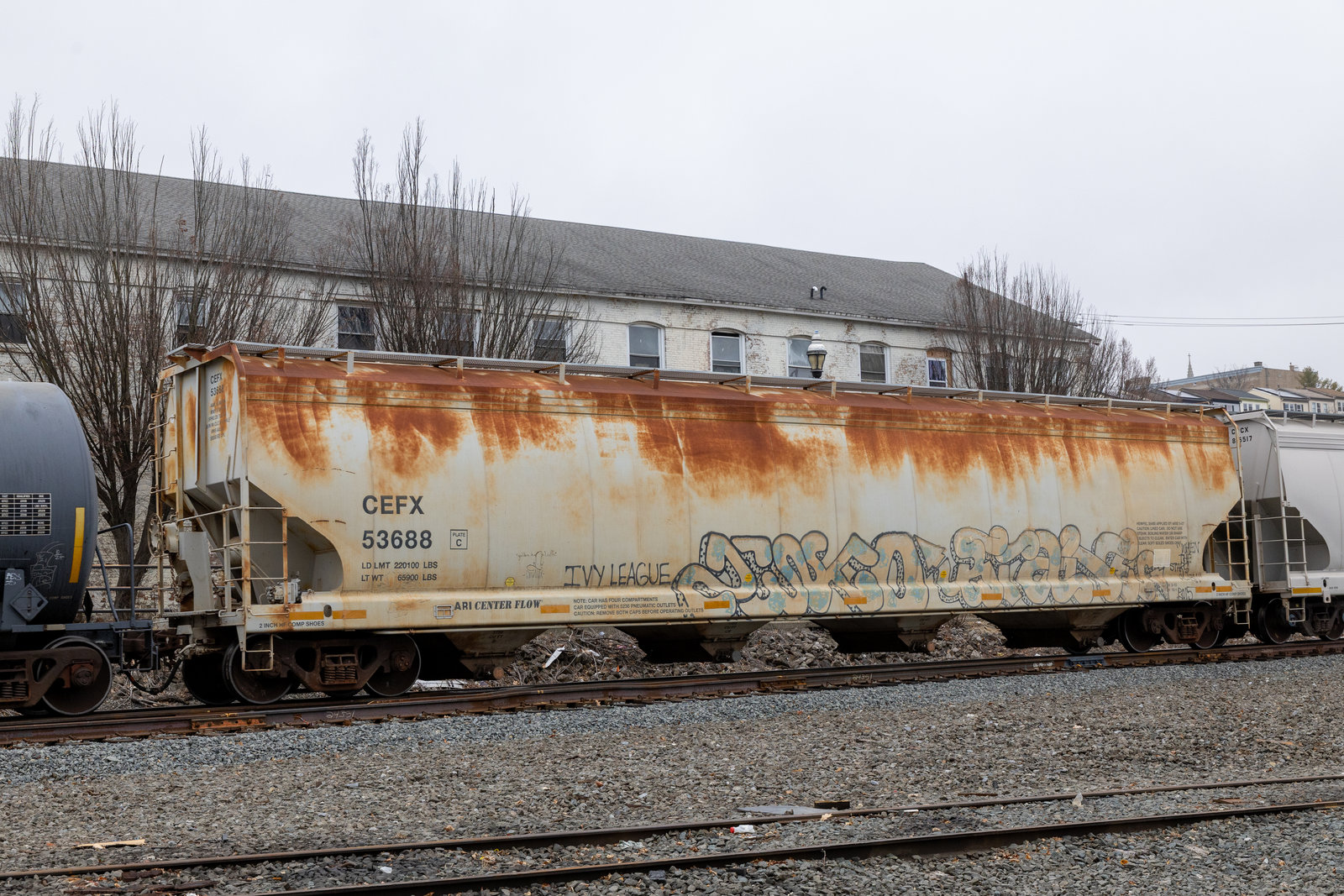 CEFX 53688
