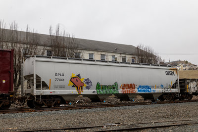 GPLX 77441