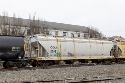OCCX 2388
