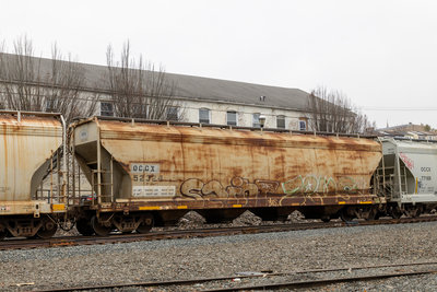 OCCX 52324