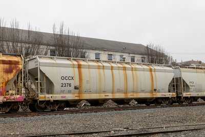 OCCX 2376