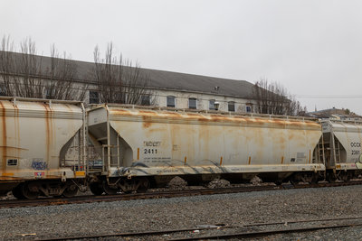 OCCX 2411