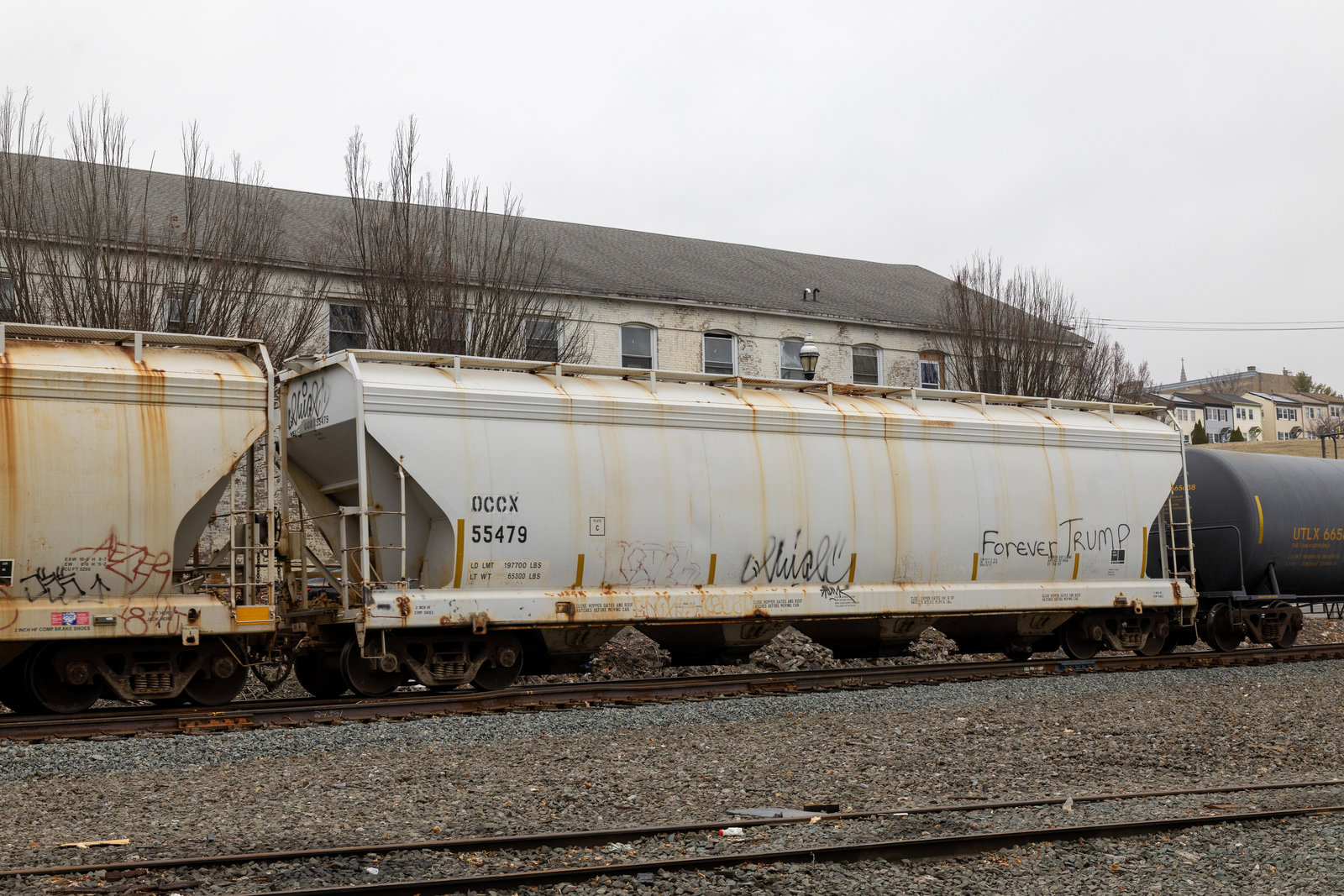 OCCX 55479