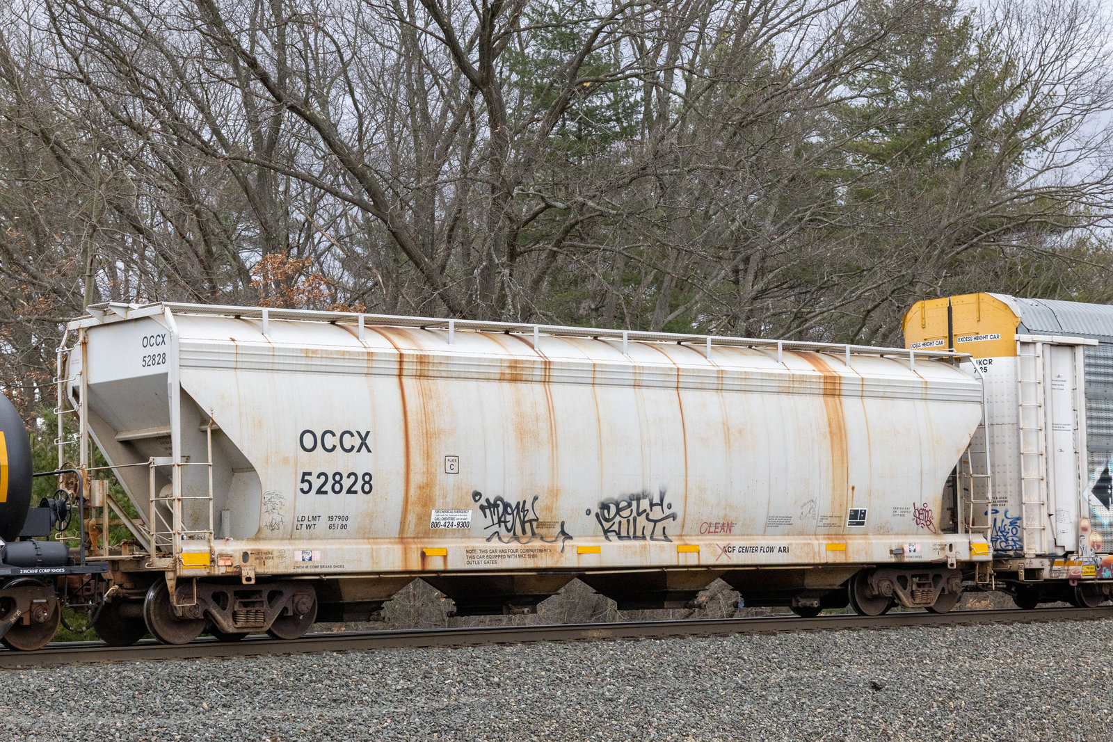 OCCX 52828