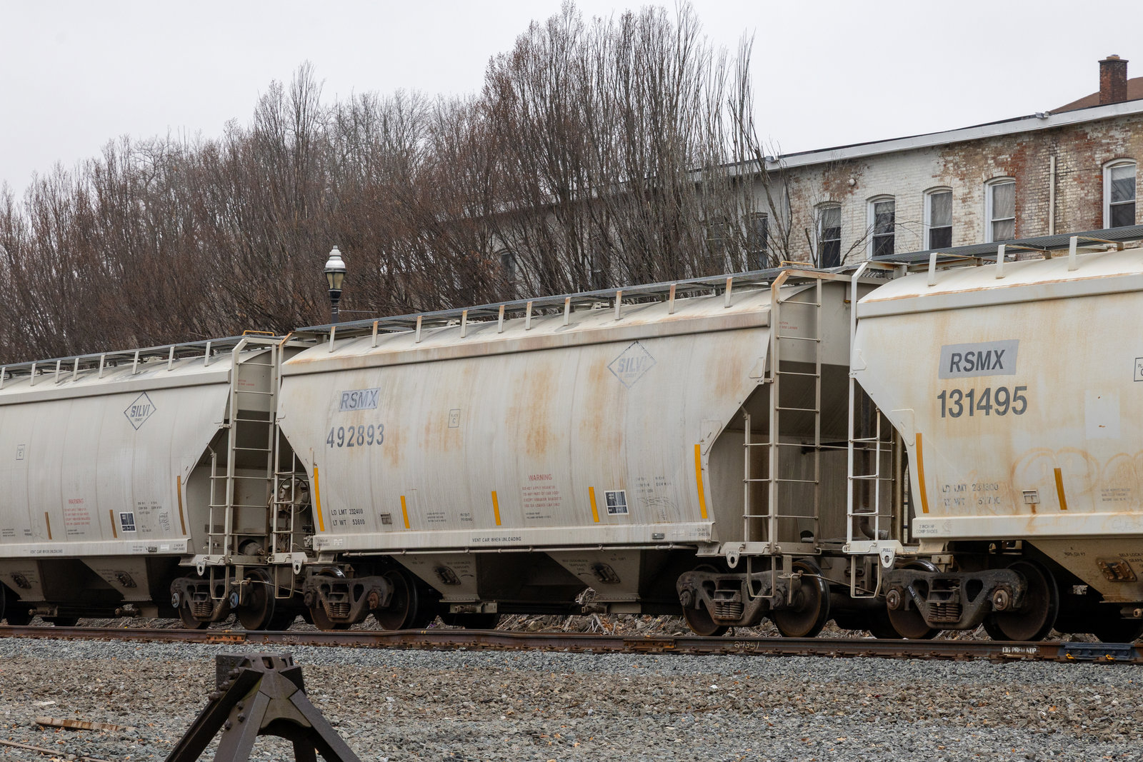 RSMX 492893