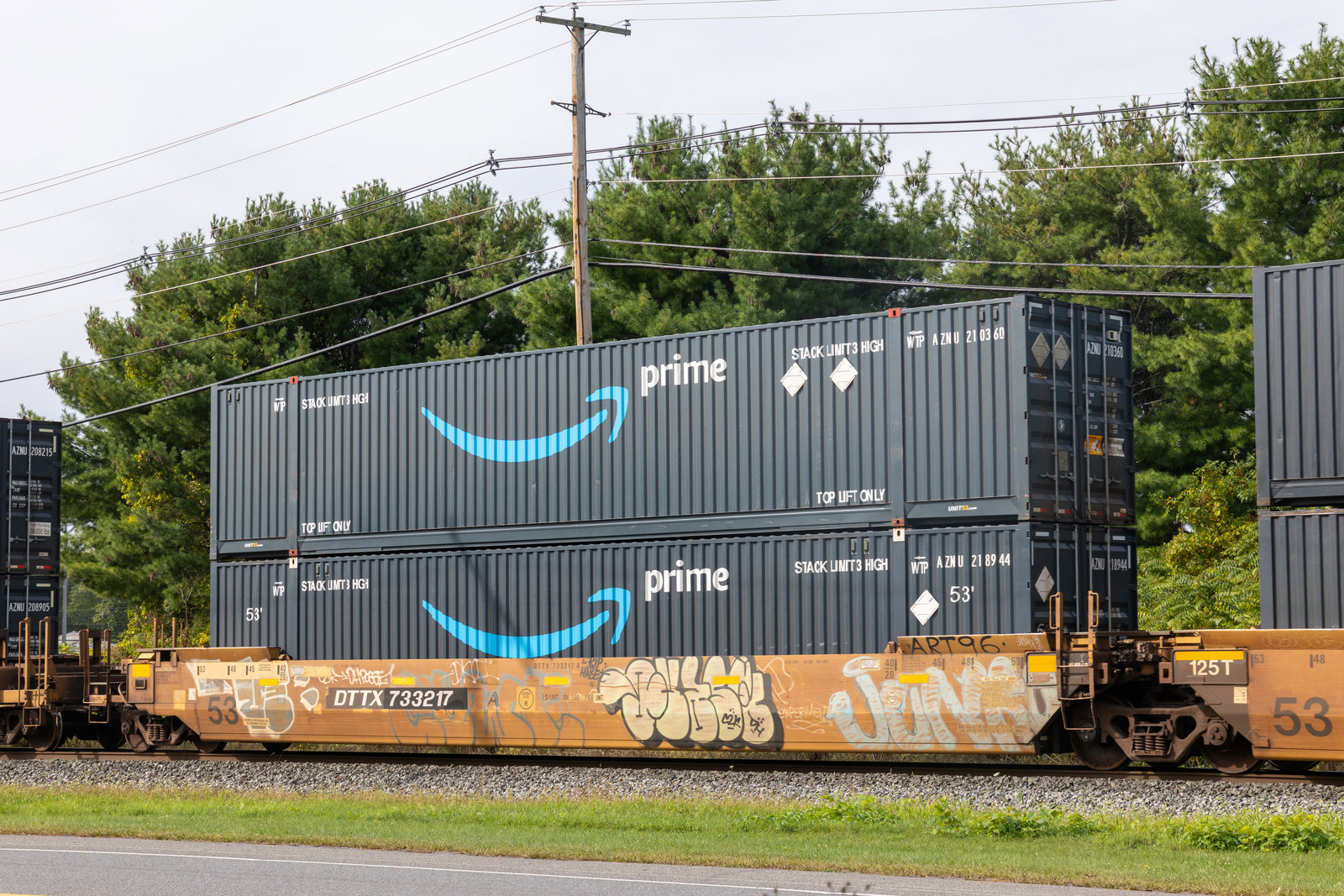 DTTX 733217A