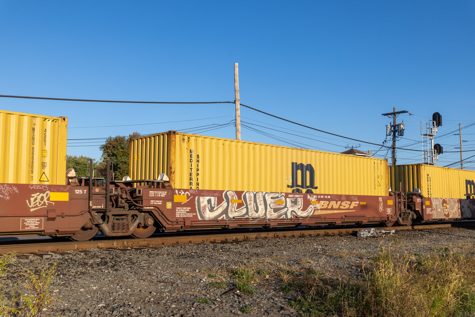 BNSF 239817D