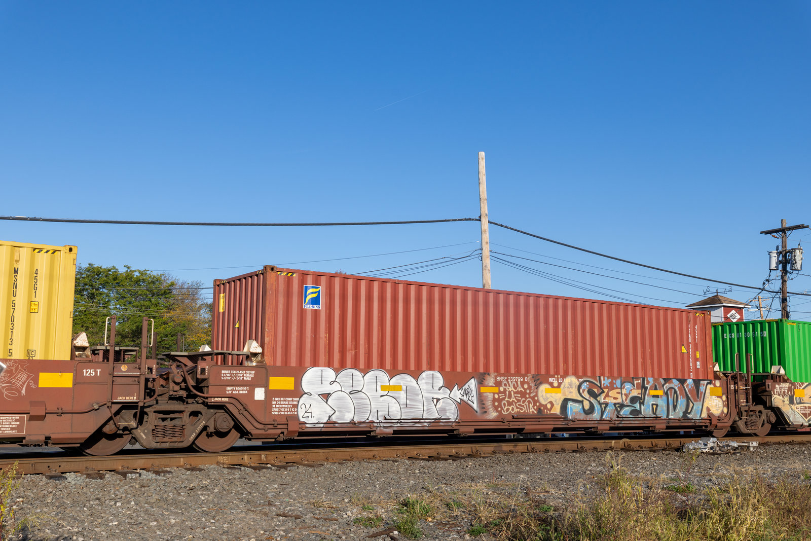 BNSF 239799D