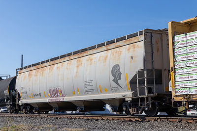 CBFX 490236