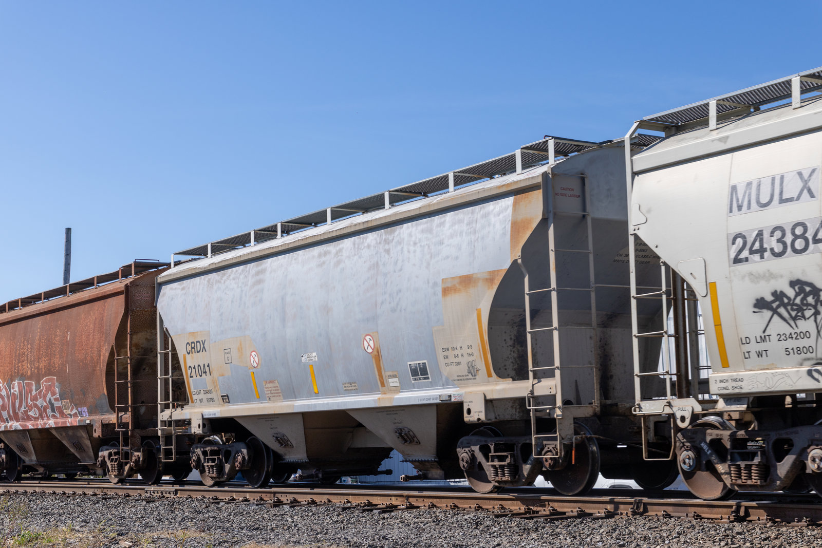 CRDX 21041