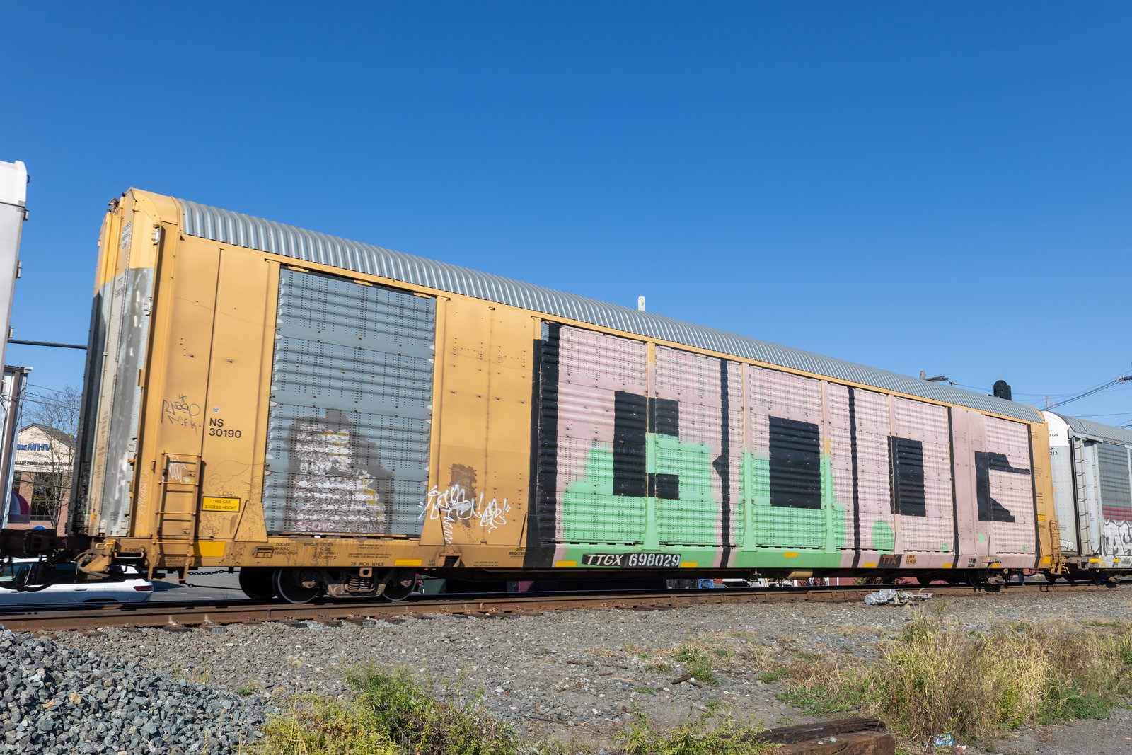 TTGX 698029