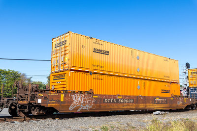 DTTX 560003