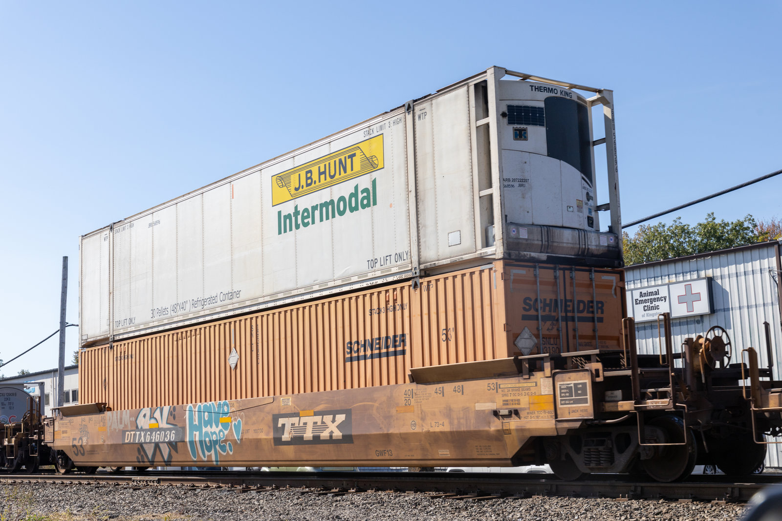 DTTX 646036