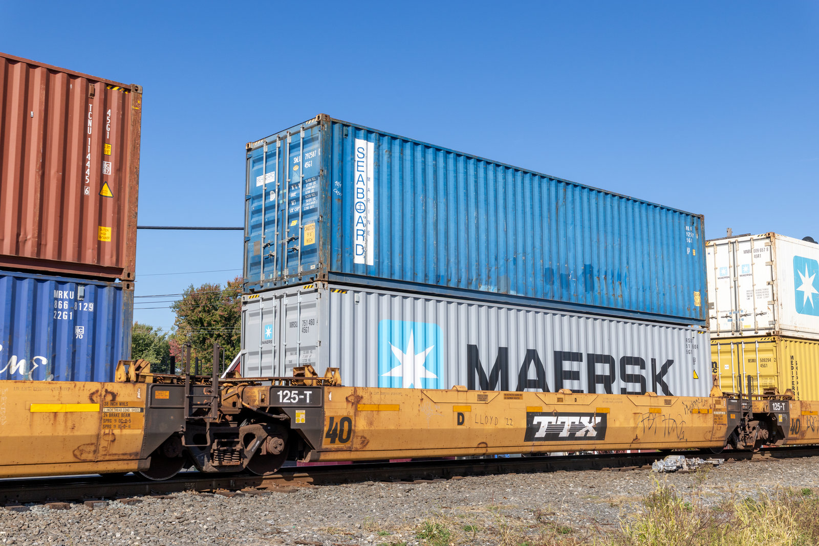 DTTX 742981D