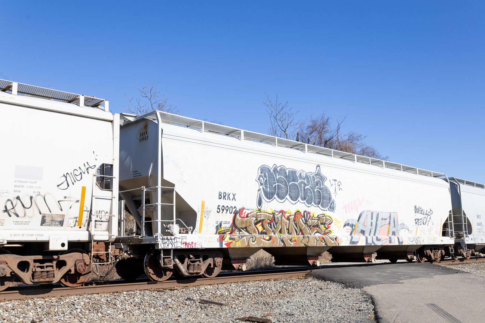 BRKX 59902