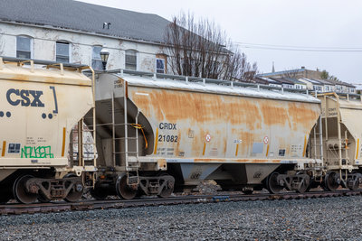 CRDX 21082