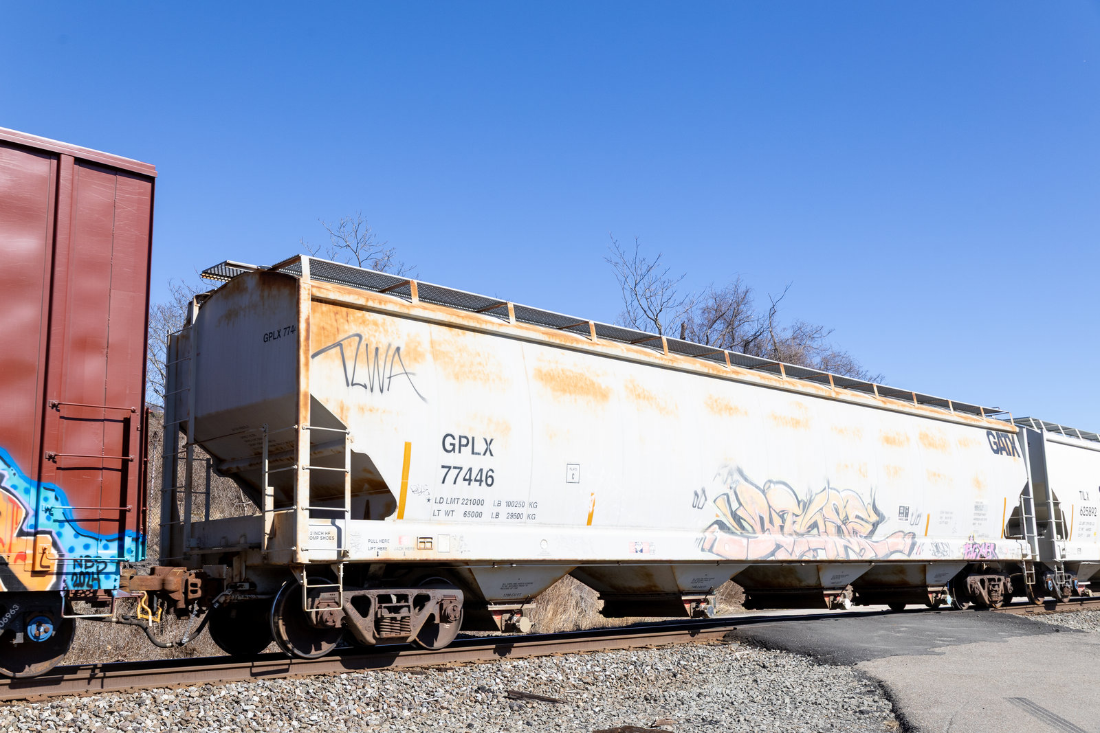 GPLX 77446