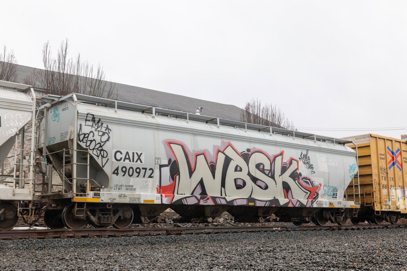 CAIX 490972