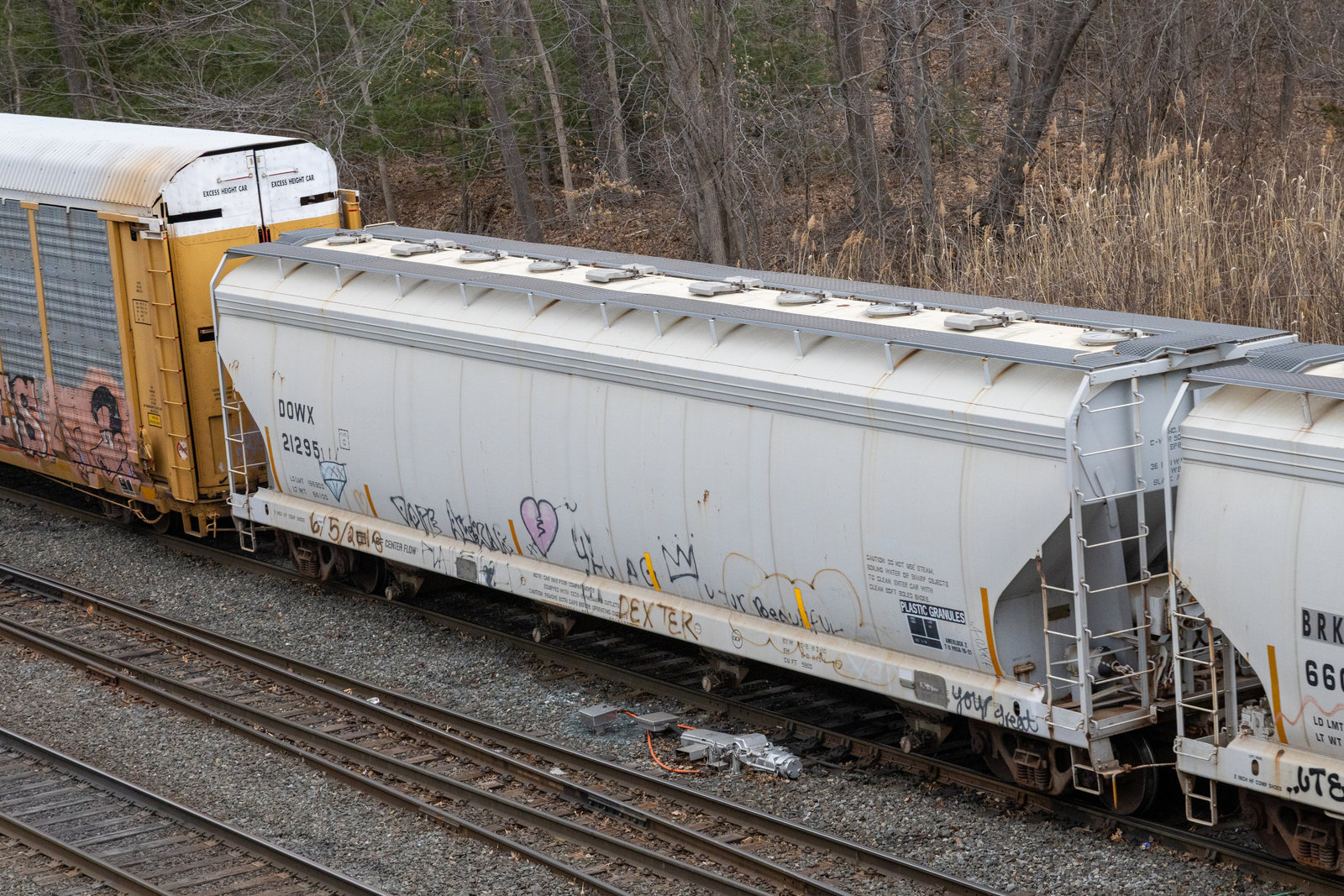 DOWX 21295