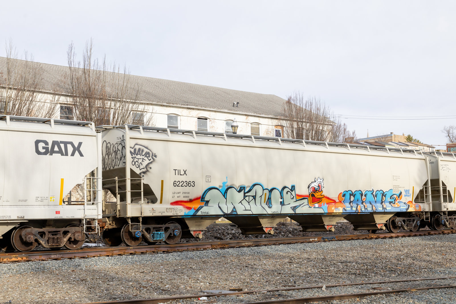 TILX 622363