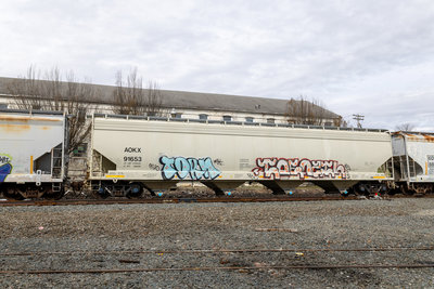 AOKX 91653