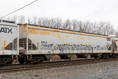 GPLX 77396
