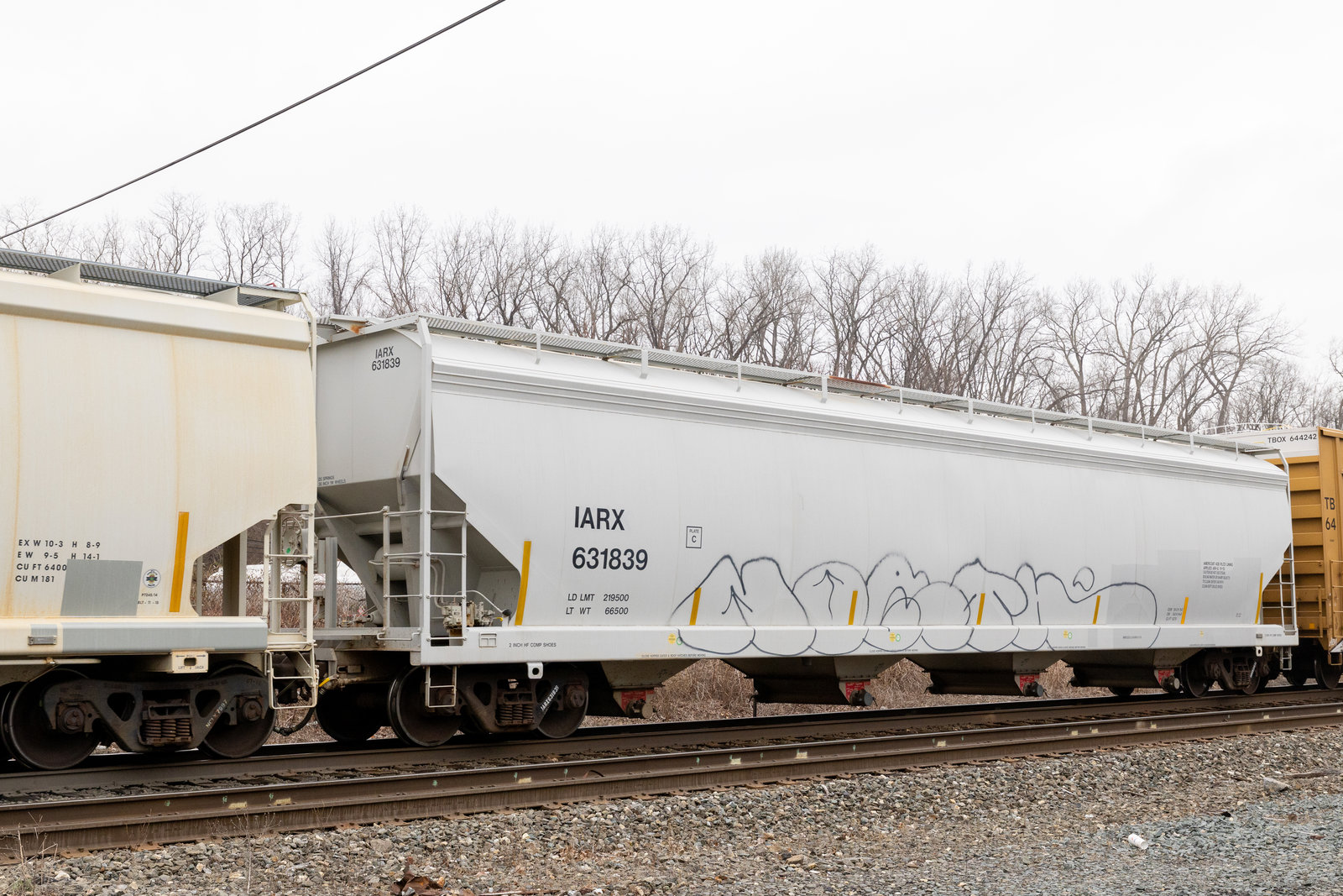 IARX 631839
