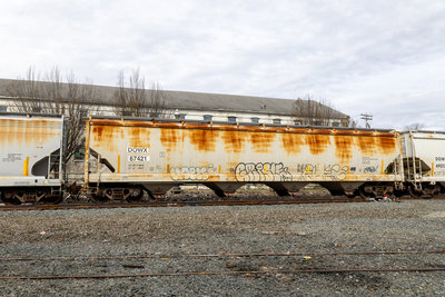 DOWX 67421