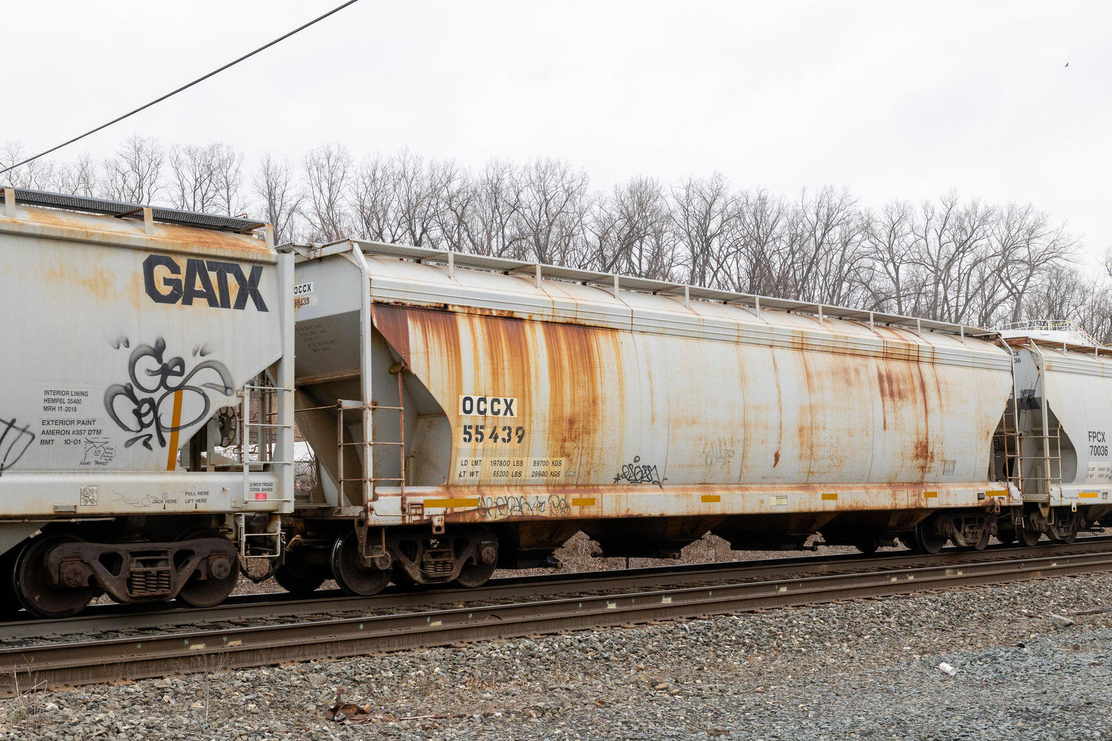 OCCX 55439