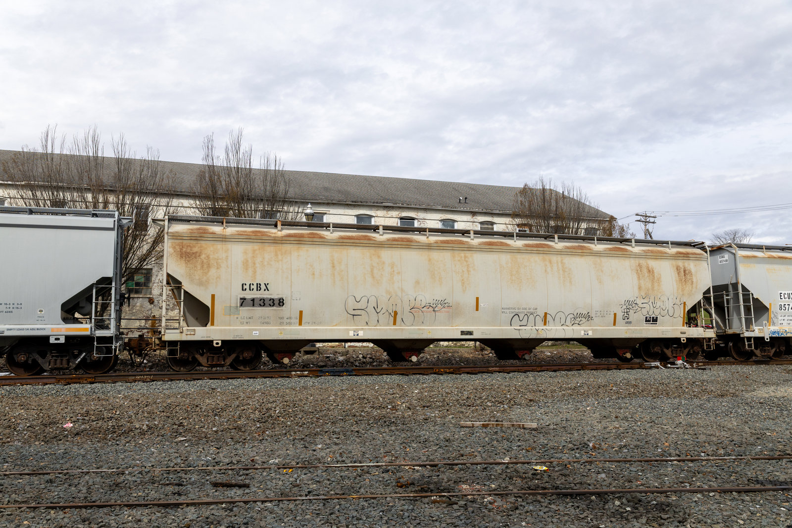 CCBX 71338