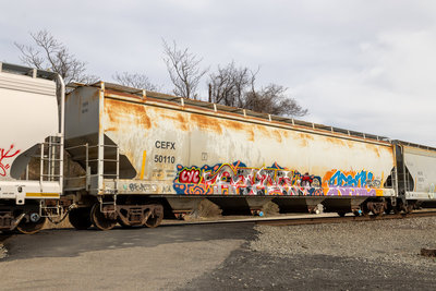 CEFX 50110