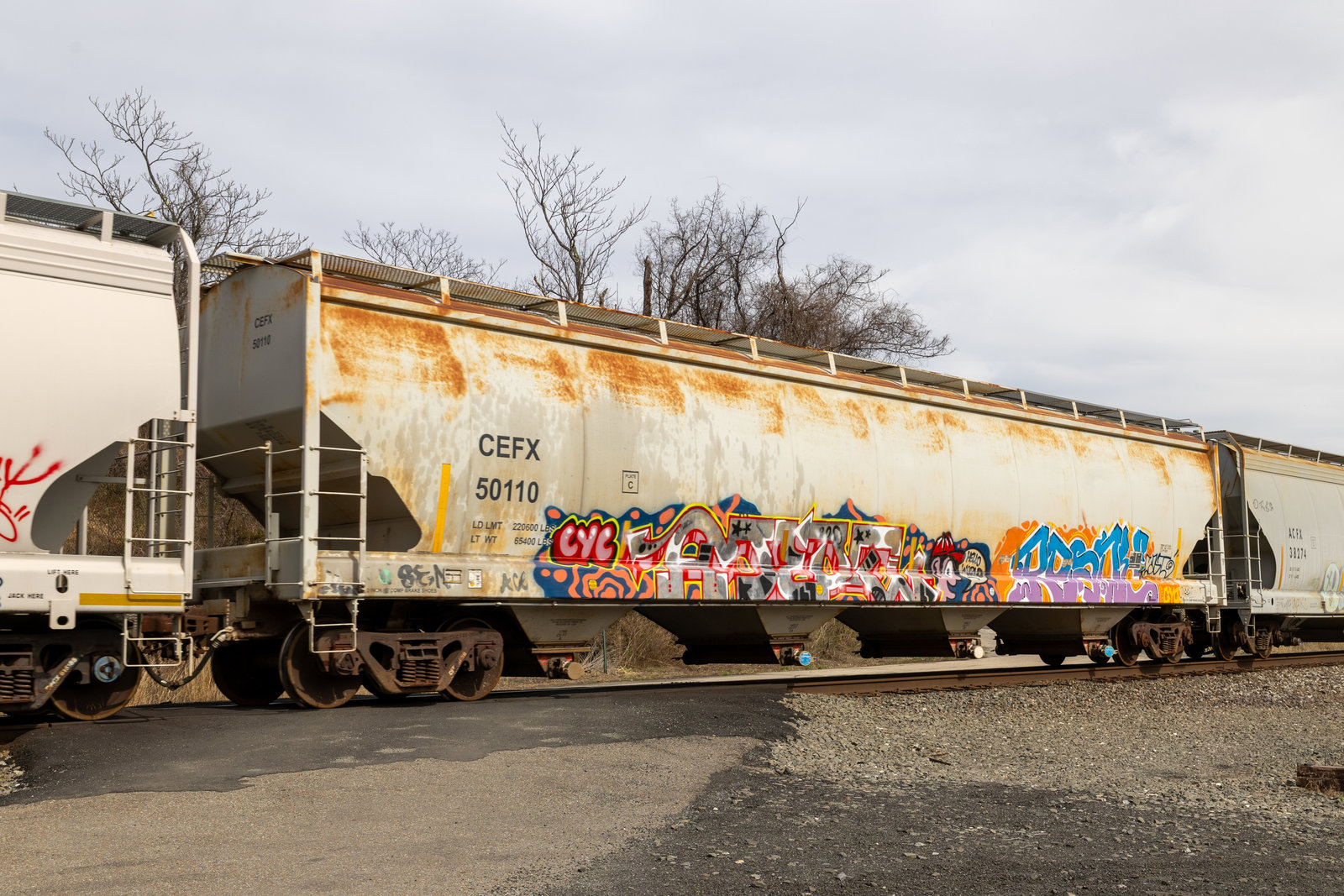 CEFX 50110