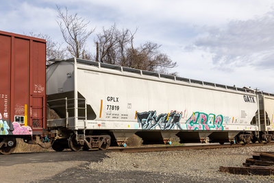 GPLX 77819