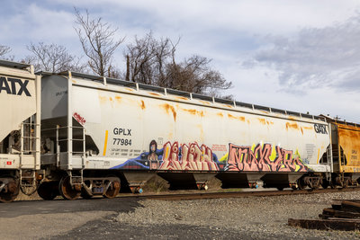 GPLX 77984