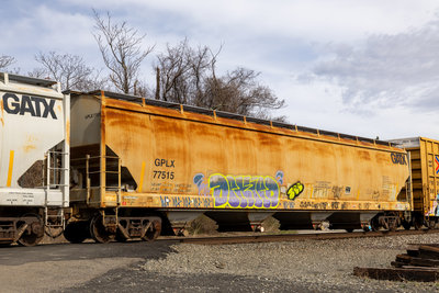 GPLX 77515