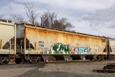 GPLX 77392