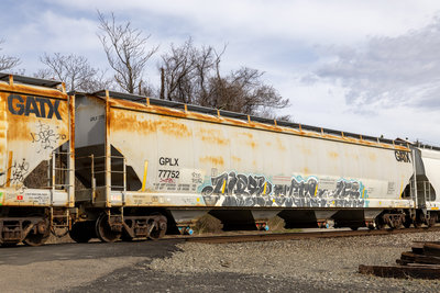 GPLX 77752