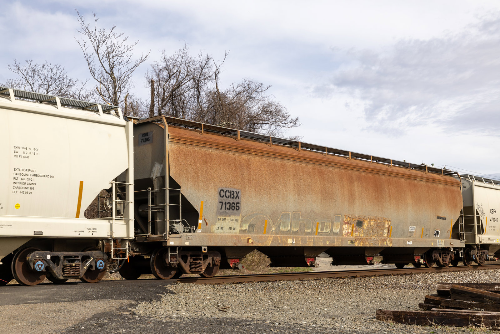 CCBX 71365