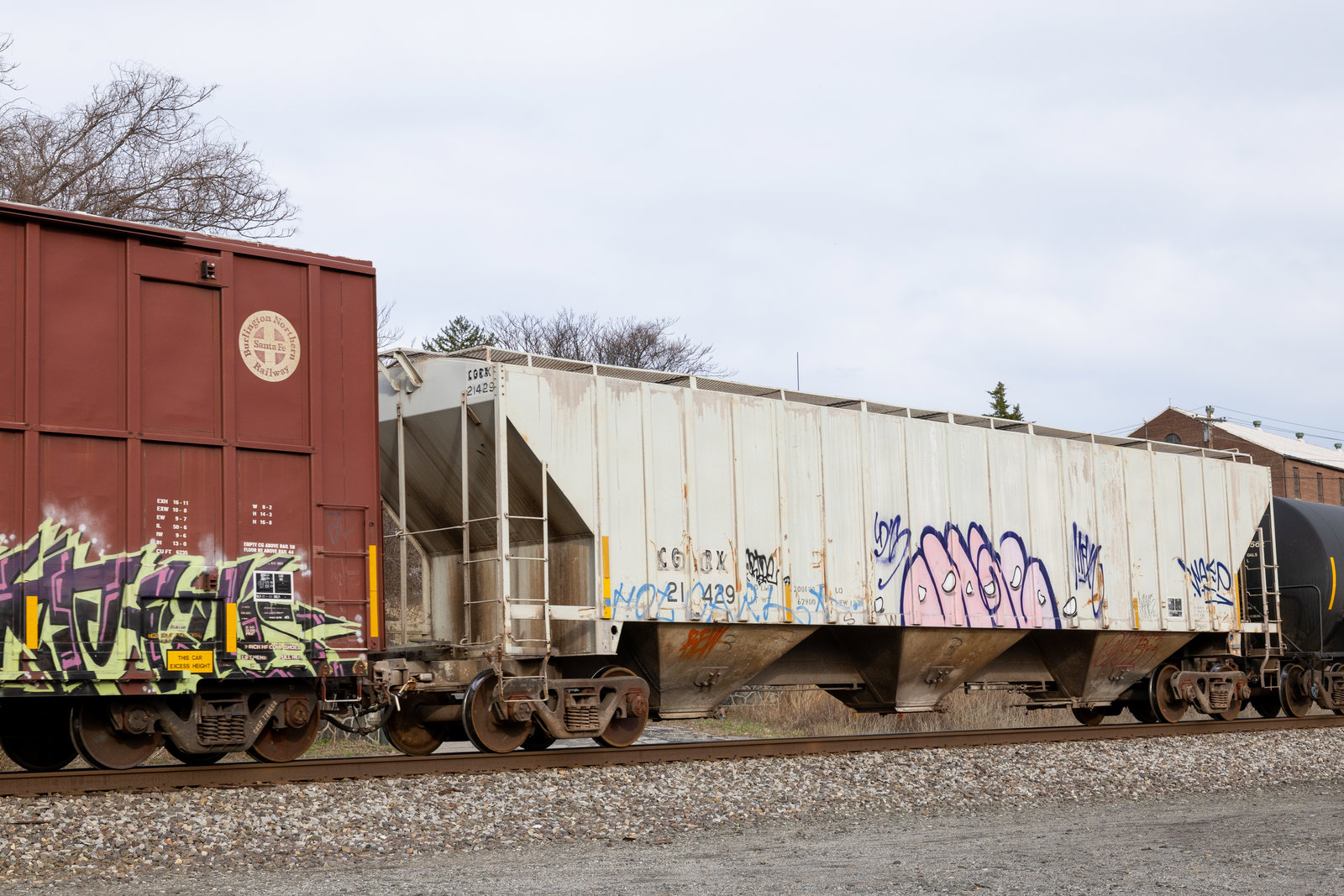 CGRX 21429